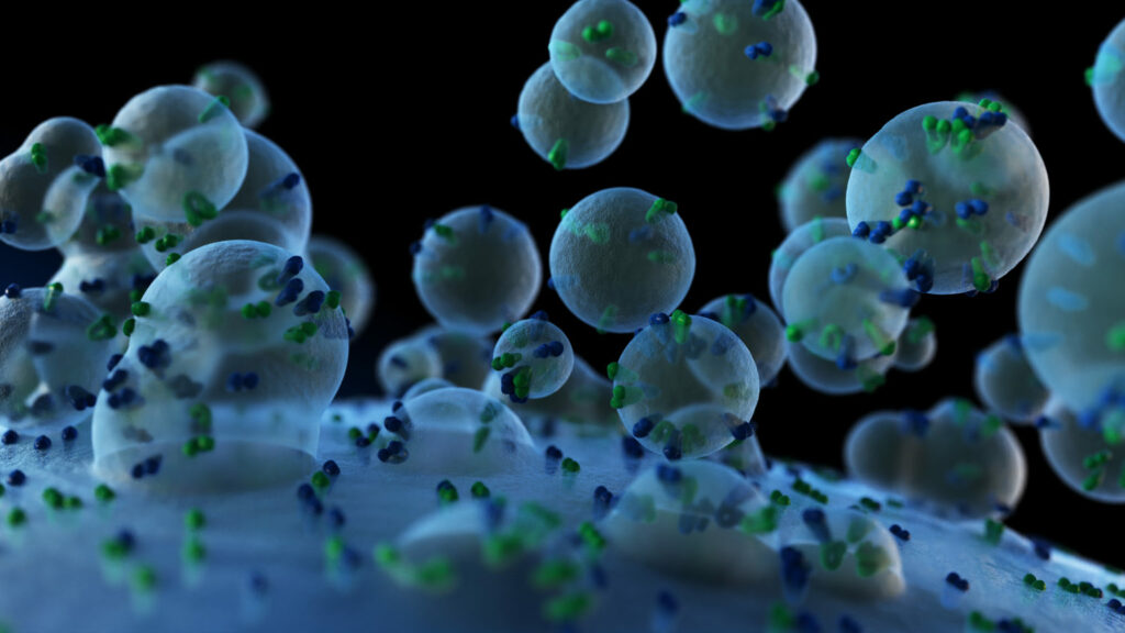Exosome + MSC